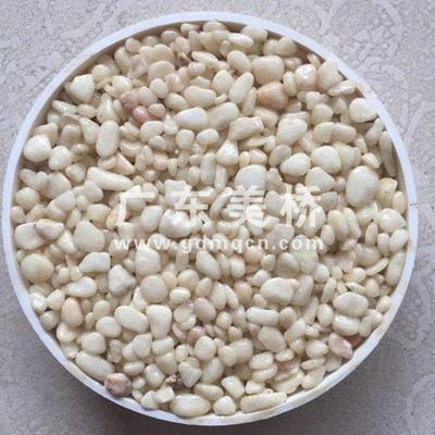 透水混凝土色样