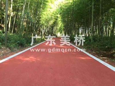 彩色透水混凝土地坪工程