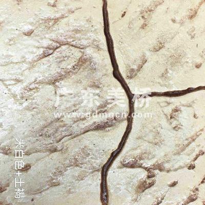 压模/压印/压花地坪样色